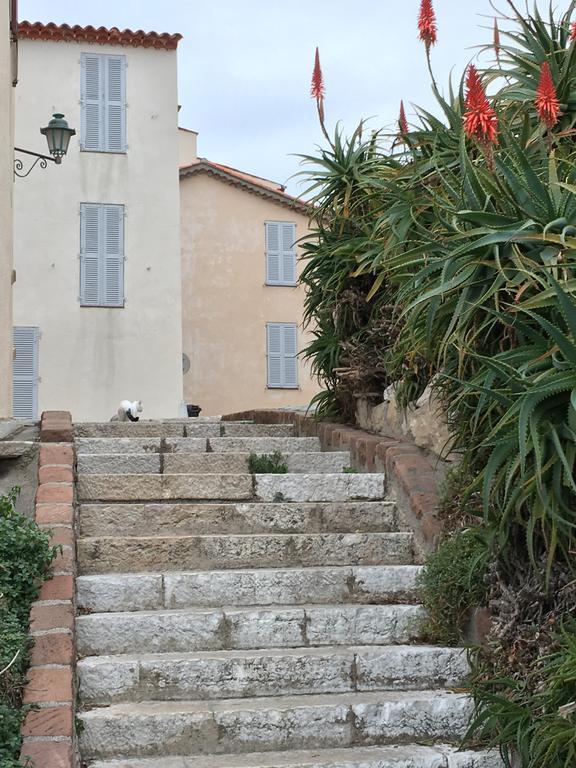 Cap Antibes Les Bosquets Villa Eksteriør bilde